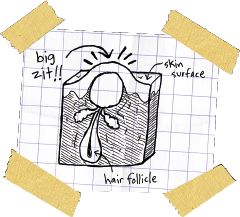Cartoon from printed page 83 of the novel.
